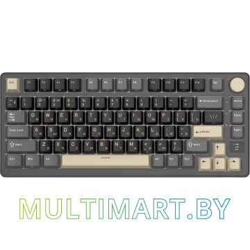 Клавиатура Royal Kludge RK-M75 RGB Phantom (RK Silver) картинка 2